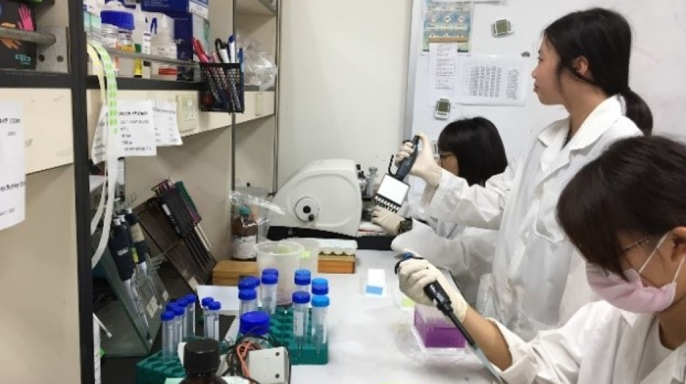 圖說一，東海生科生醫組正逐步將AI從研究領域導入教學課堂，以AI機器學習與生成式AI進行細胞辨識、蛋白質工程研發、程式設計、大數據等相關課程。